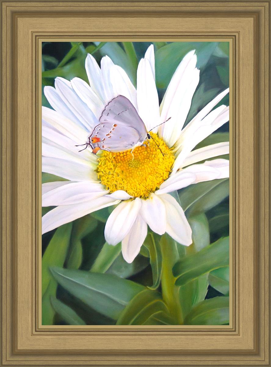 The Daisy and The Butterfly