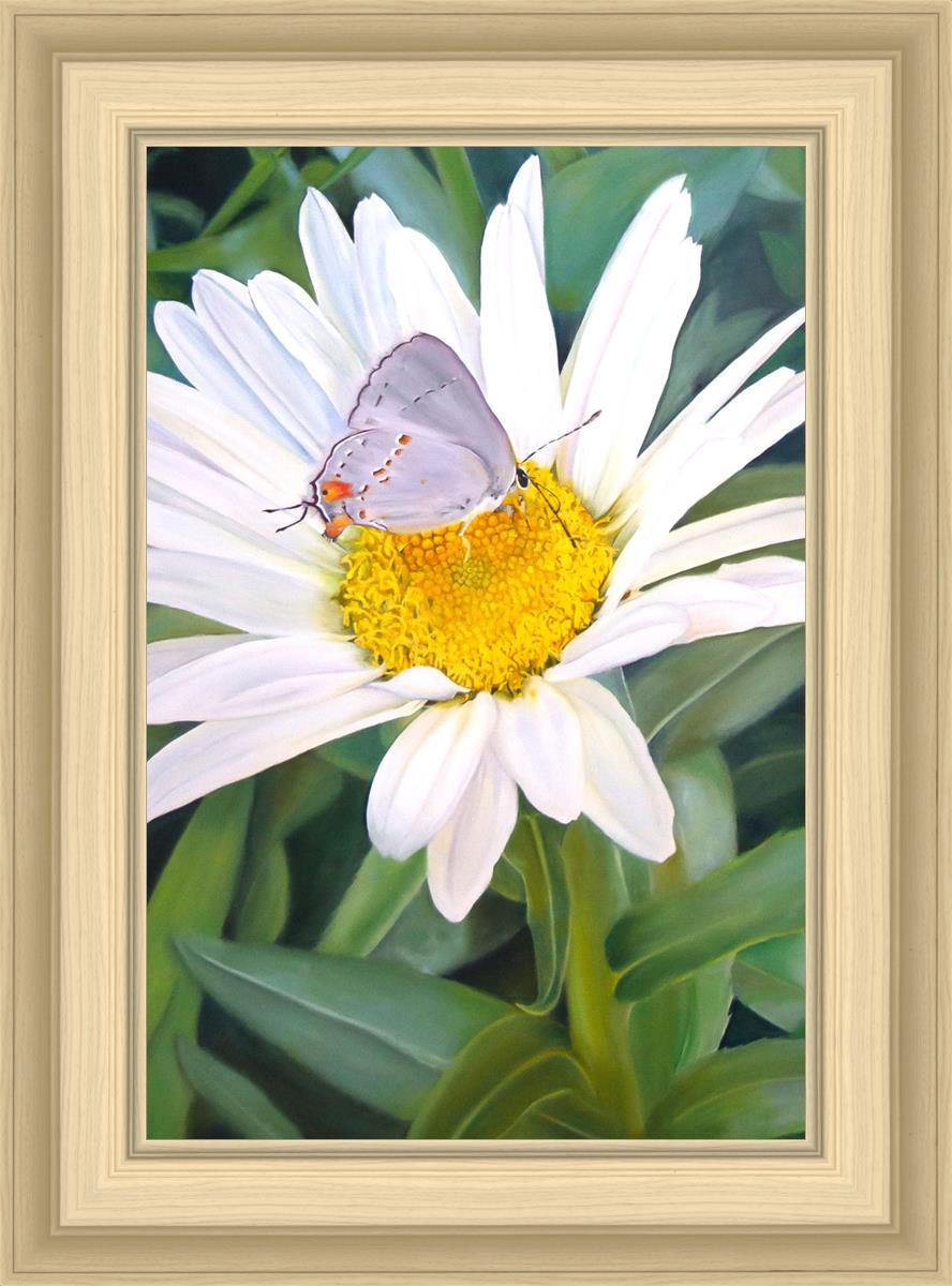The Daisy and The Butterfly