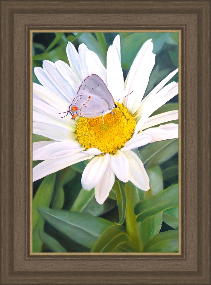The Daisy and The Butterfly