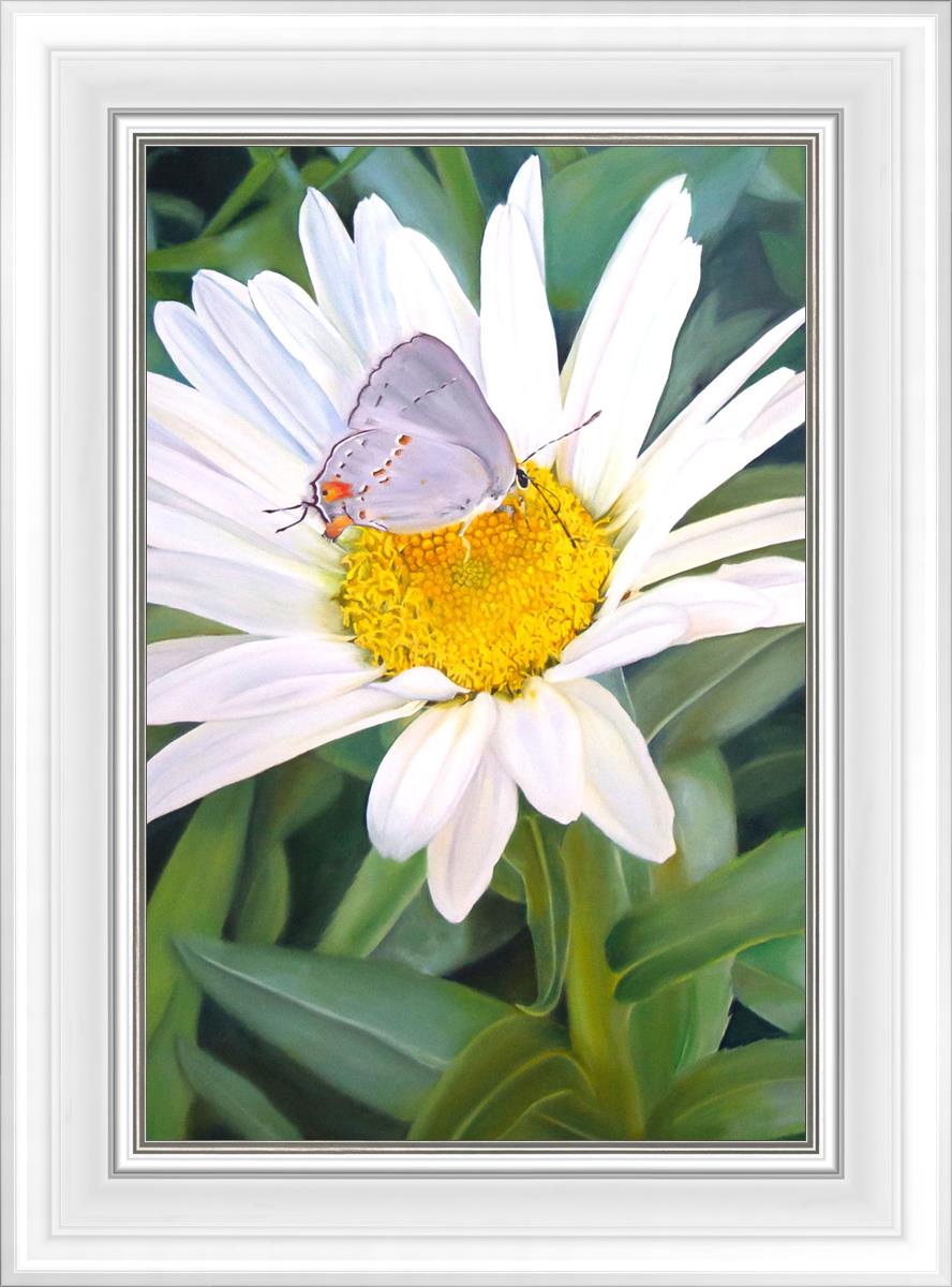 The Daisy and The Butterfly