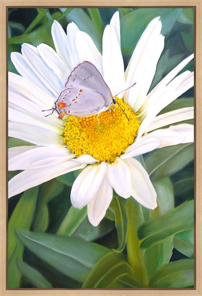 The Daisy and The Butterfly