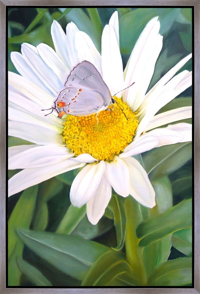 The Daisy and The Butterfly