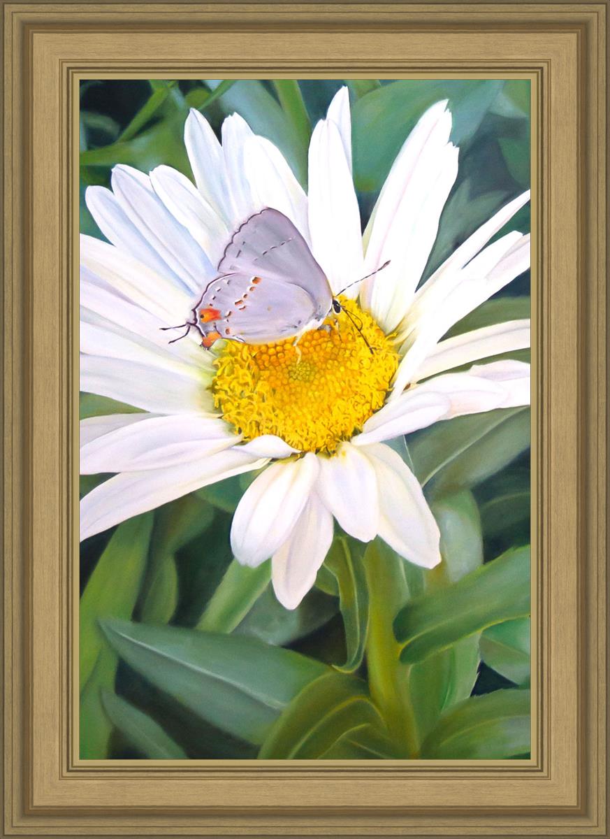 The Daisy and The Butterfly