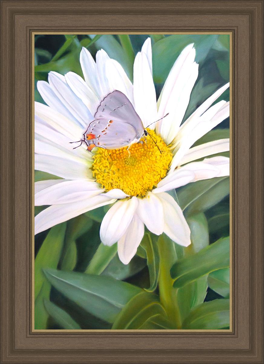 The Daisy and The Butterfly