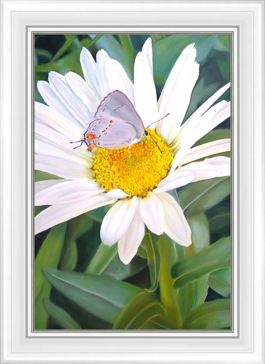 The Daisy and The Butterfly