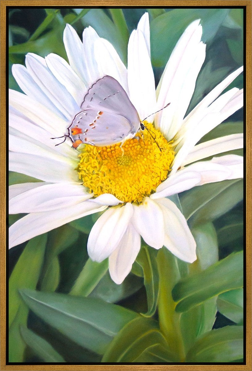 The Daisy and The Butterfly
