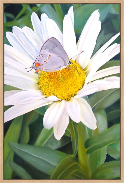 The Daisy and The Butterfly