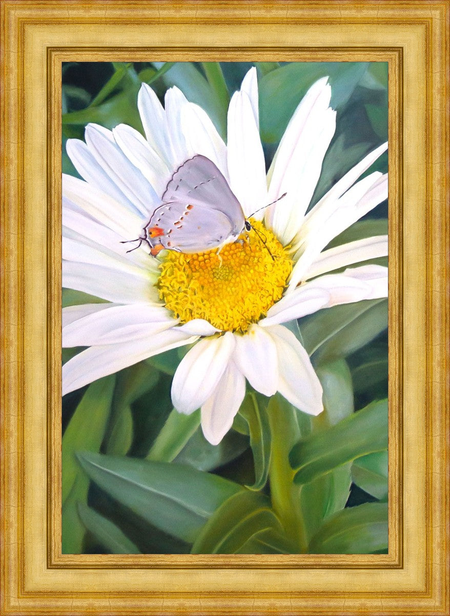 The Daisy and The Butterfly