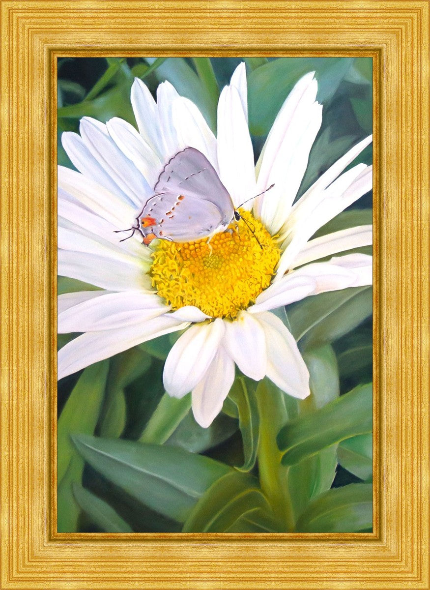 The Daisy and The Butterfly