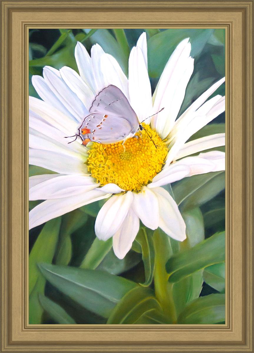 The Daisy and The Butterfly