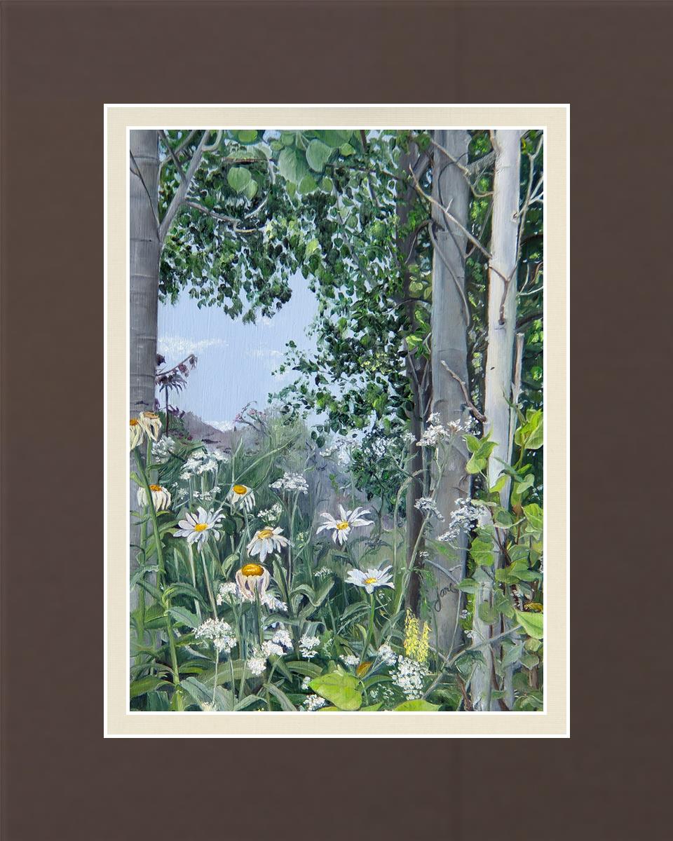 Quakies and Daisies