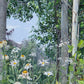 Quakies and Daisies
