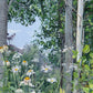 Quakies and Daisies