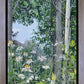 Quakies and Daisies