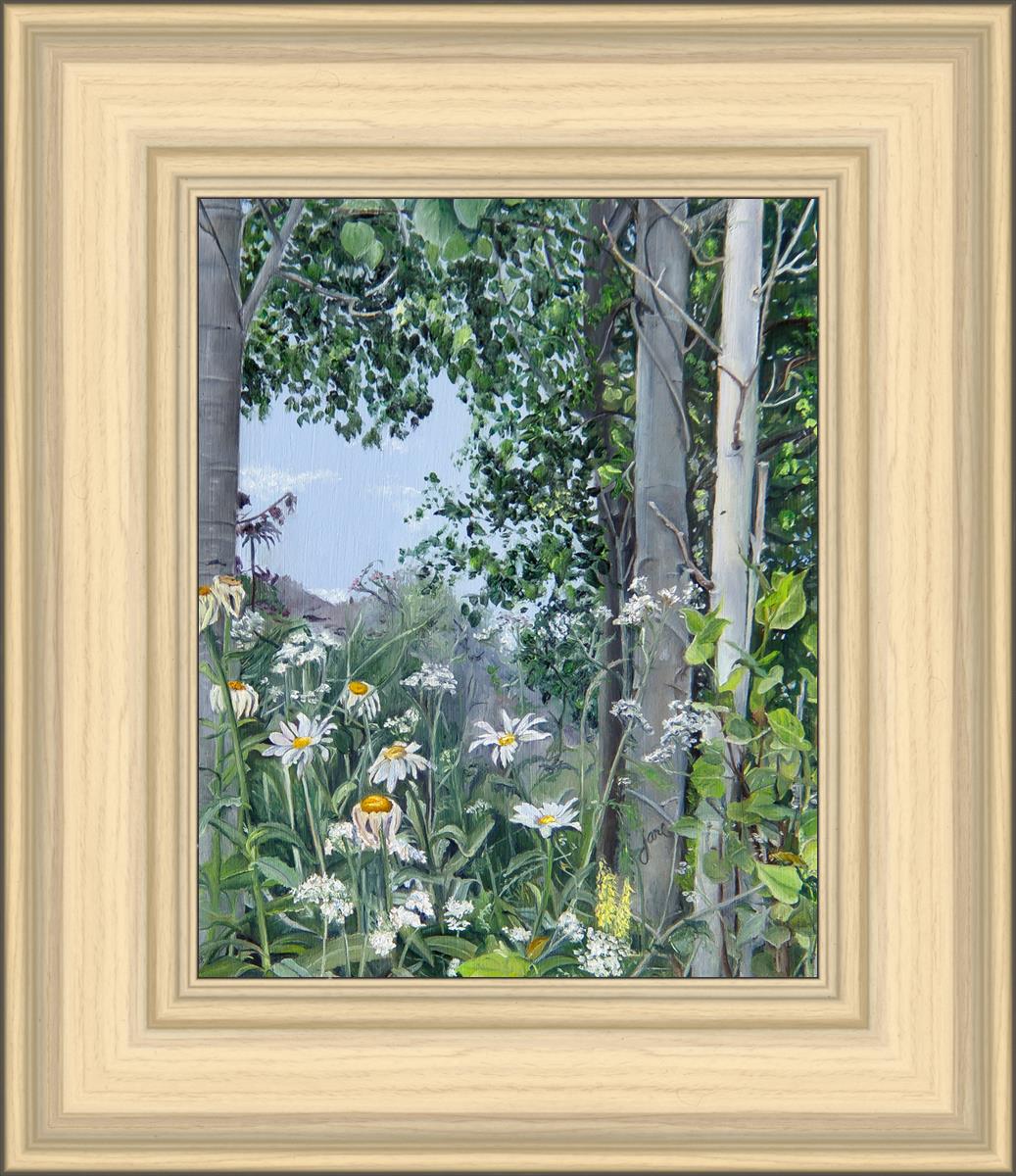 Quakies and Daisies