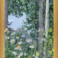 Quakies and Daisies