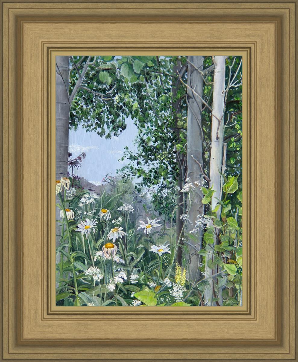 Quakies and Daisies