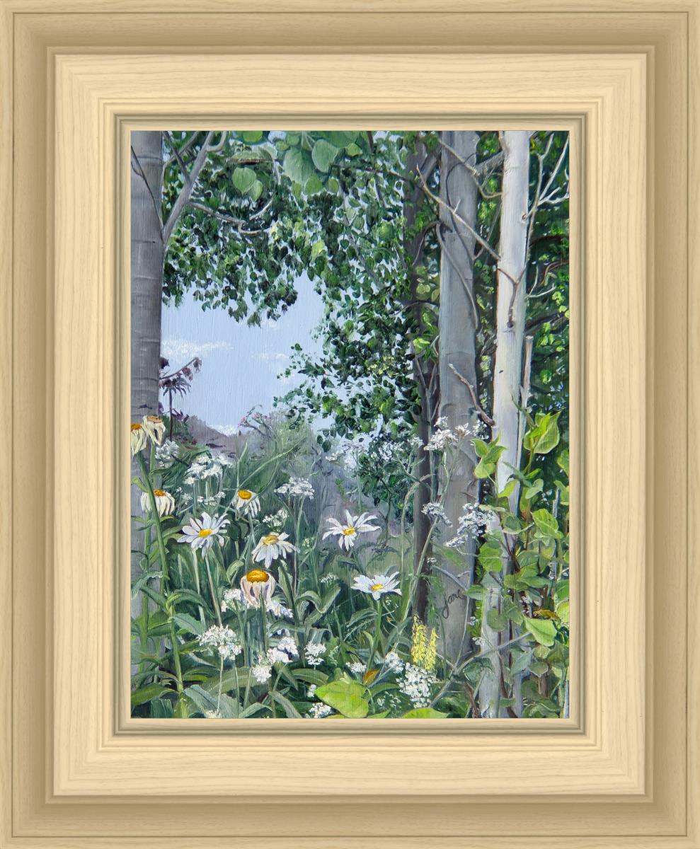 Quakies and Daisies
