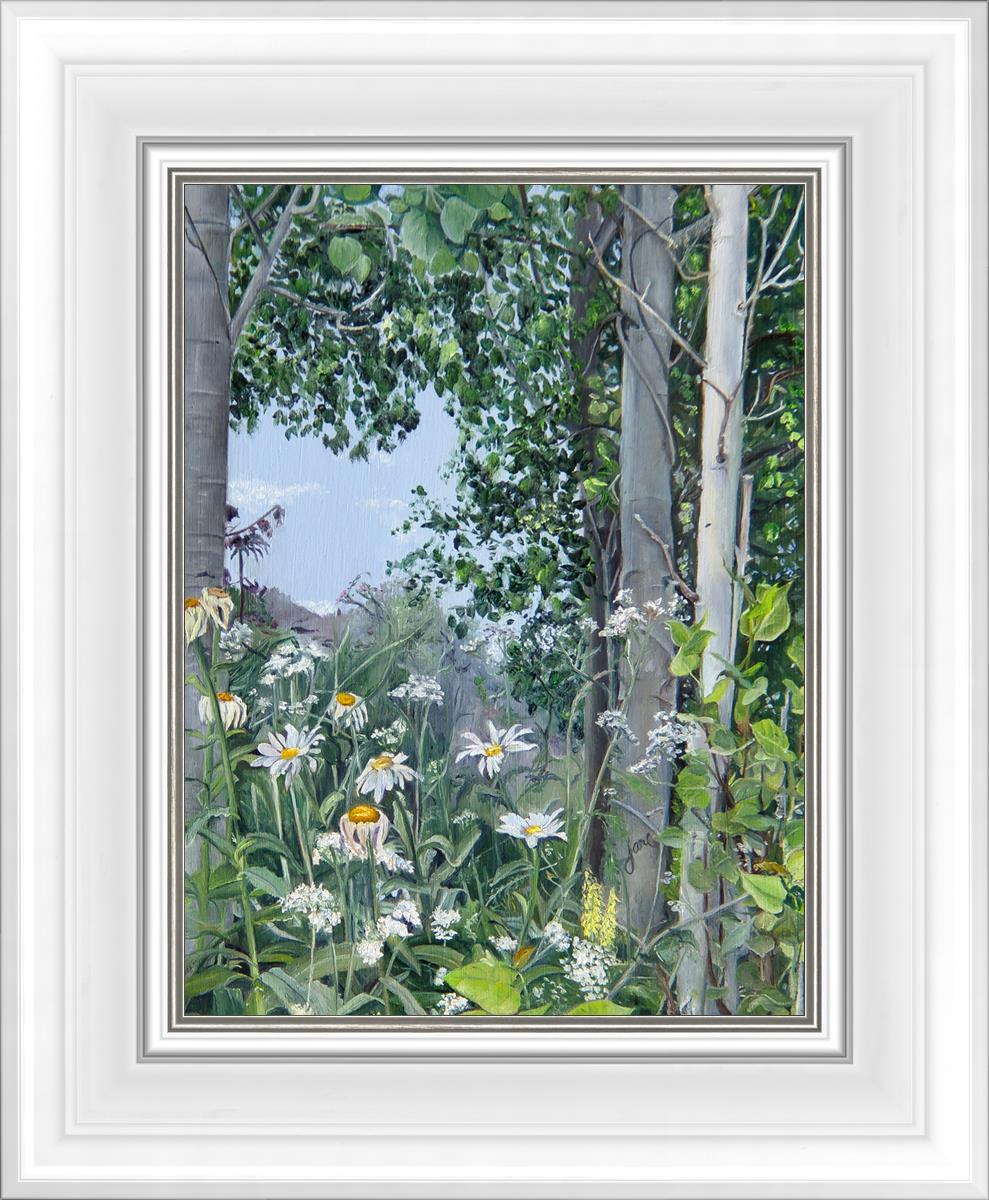 Quakies and Daisies