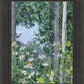 Quakies and Daisies