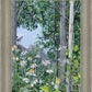 Quakies and Daisies