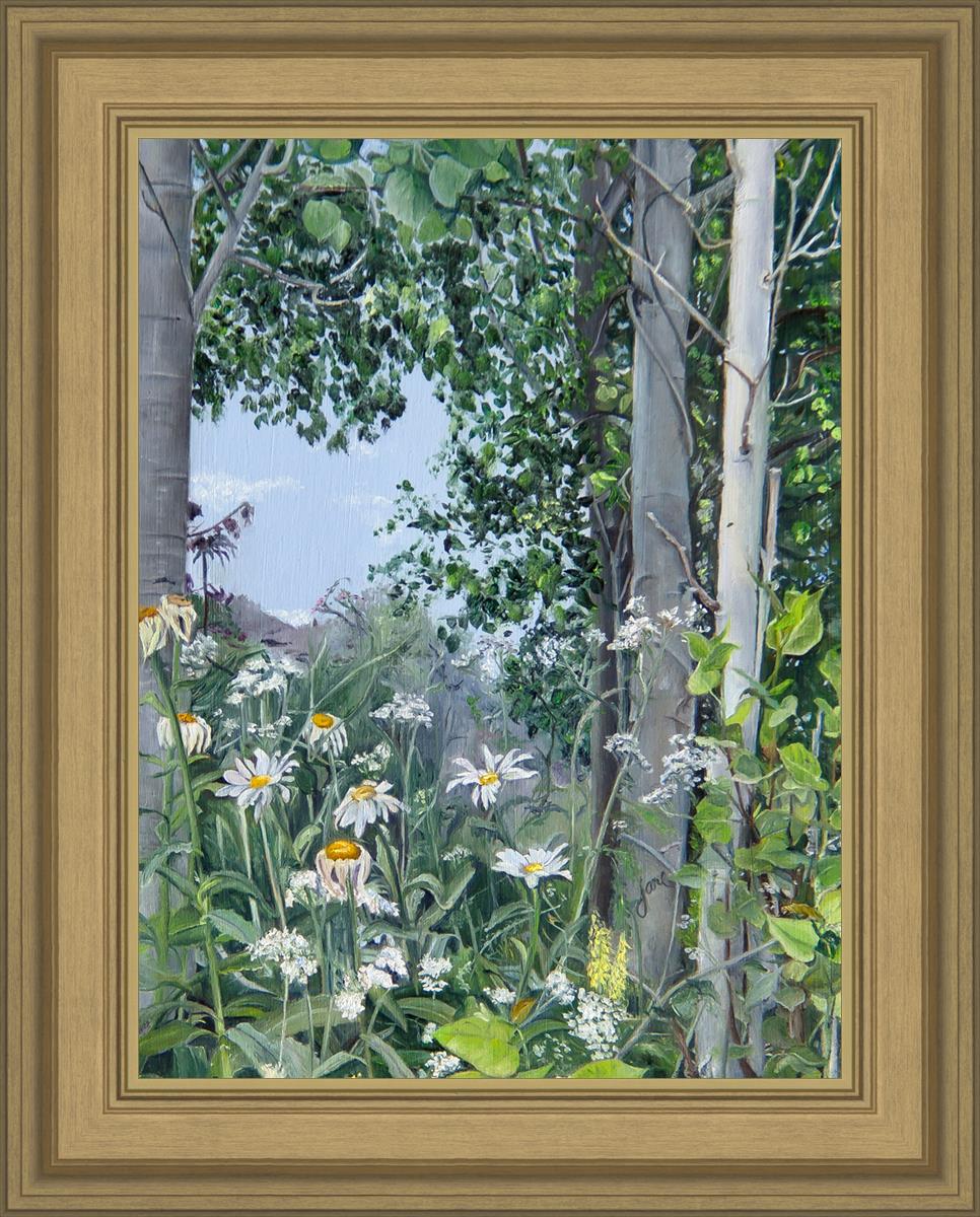 Quakies and Daisies