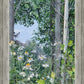 Quakies and Daisies