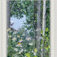 Quakies and Daisies