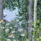Quakies and Daisies