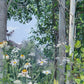 Quakies and Daisies