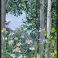 Quakies and Daisies
