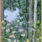 Quakies and Daisies
