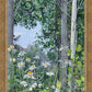 Quakies and Daisies