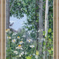 Quakies and Daisies