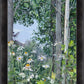 Quakies and Daisies