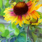 Indian Blanket Flower