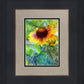 Indian Blanket Flower