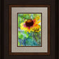 Indian Blanket Flower