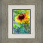 Indian Blanket Flower