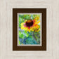Indian Blanket Flower