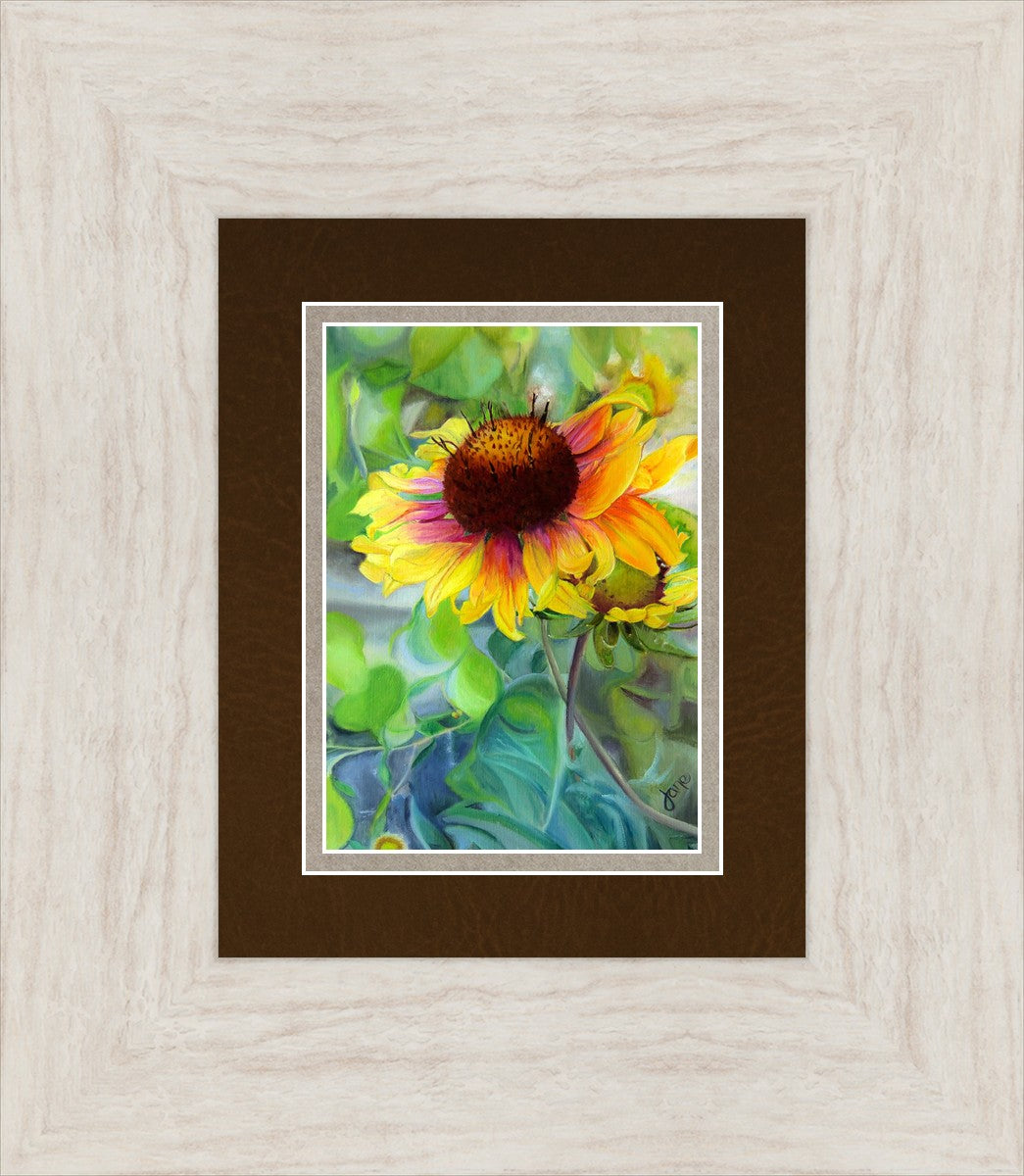 Indian Blanket Flower