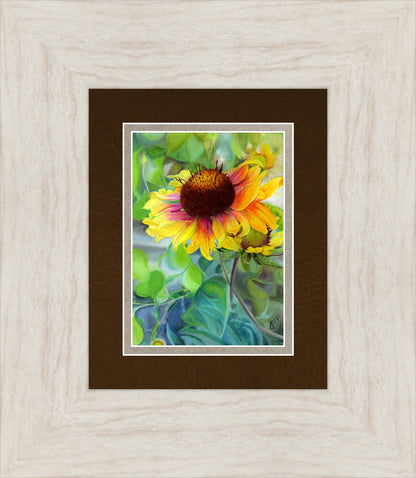 Indian Blanket Flower