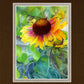 Indian Blanket Flower