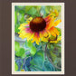 Indian Blanket Flower