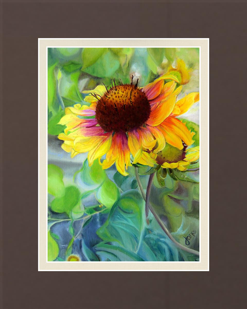 Indian Blanket Flower