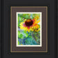 Indian Blanket Flower