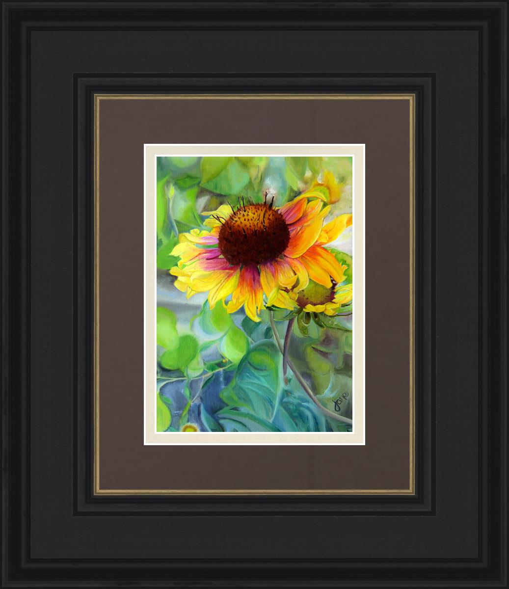 Indian Blanket Flower