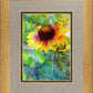 Indian Blanket Flower