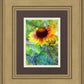 Indian Blanket Flower