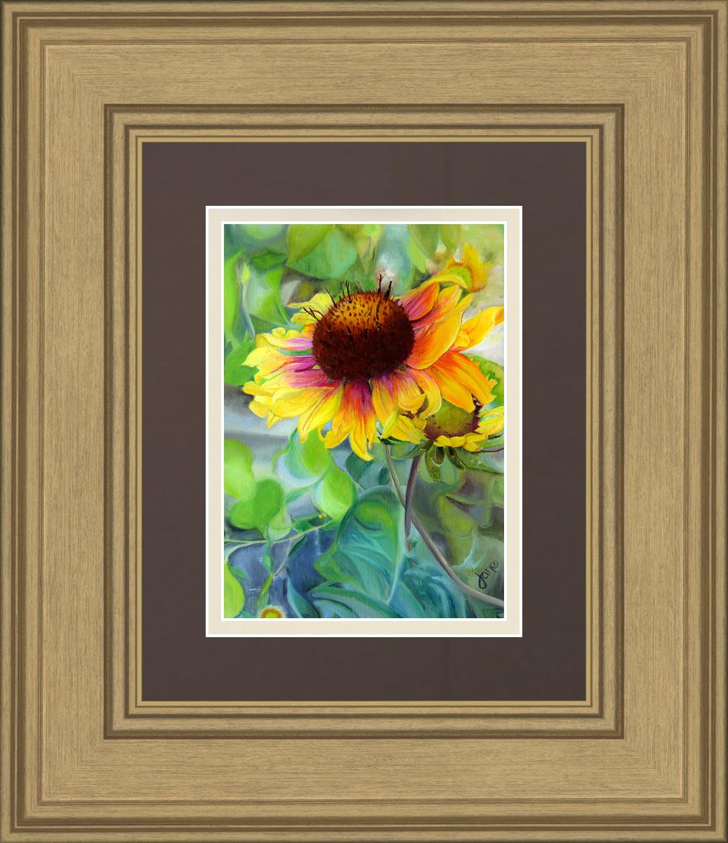 Indian Blanket Flower